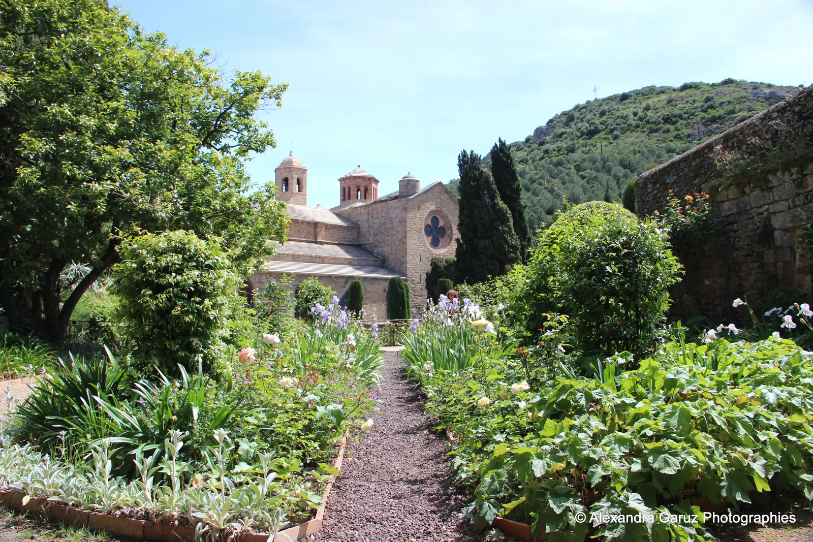 Jardin minéral et massifs d’un cloître du sud