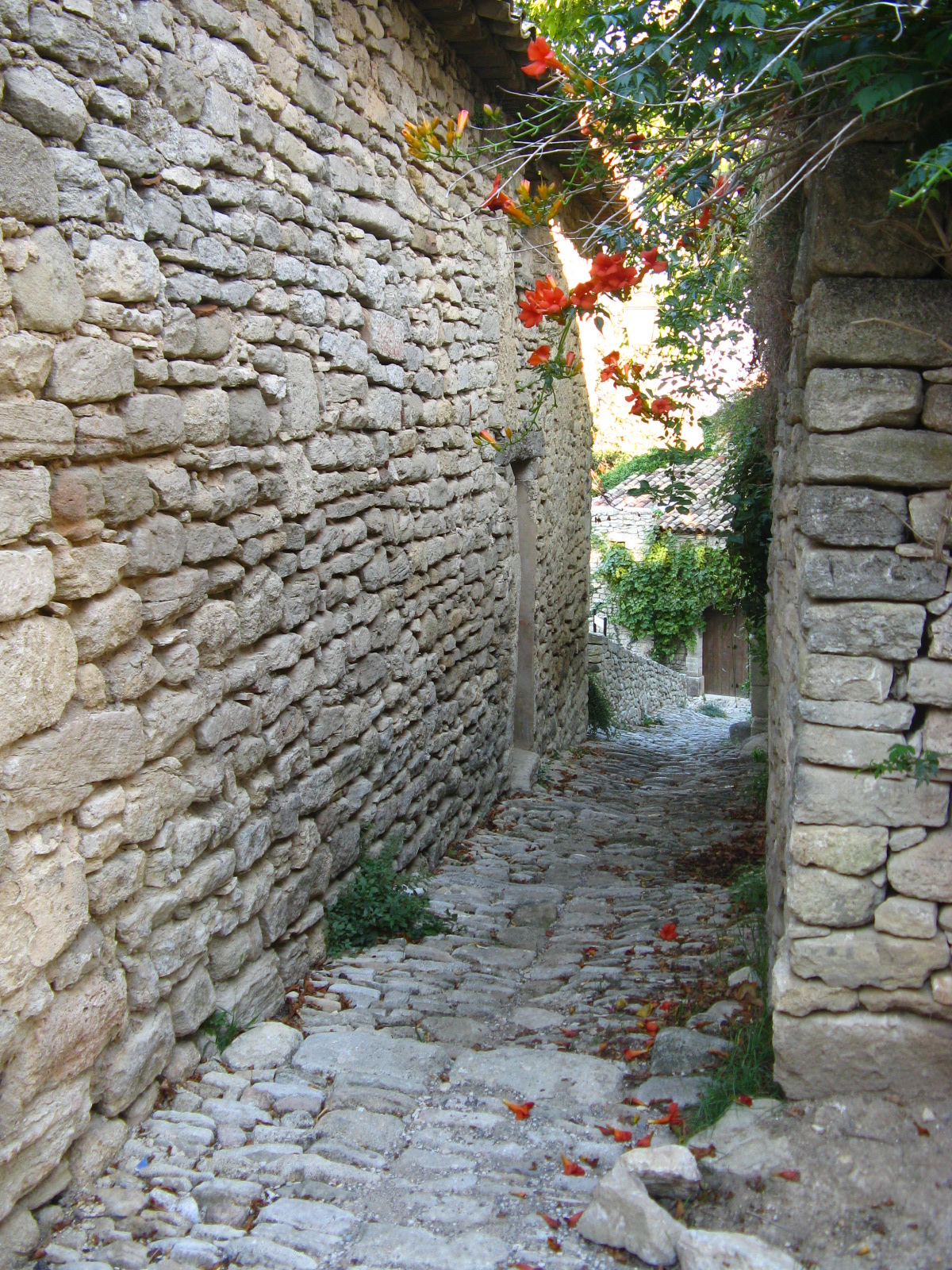 Calade de Saignon